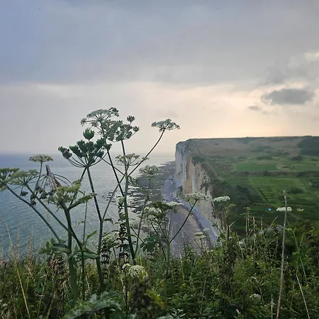 La Dernière Falaise